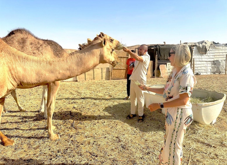 Picture 2 for Activity Riyadh Sunset Edge of the World Deers & Camels 4WD Adventure 2