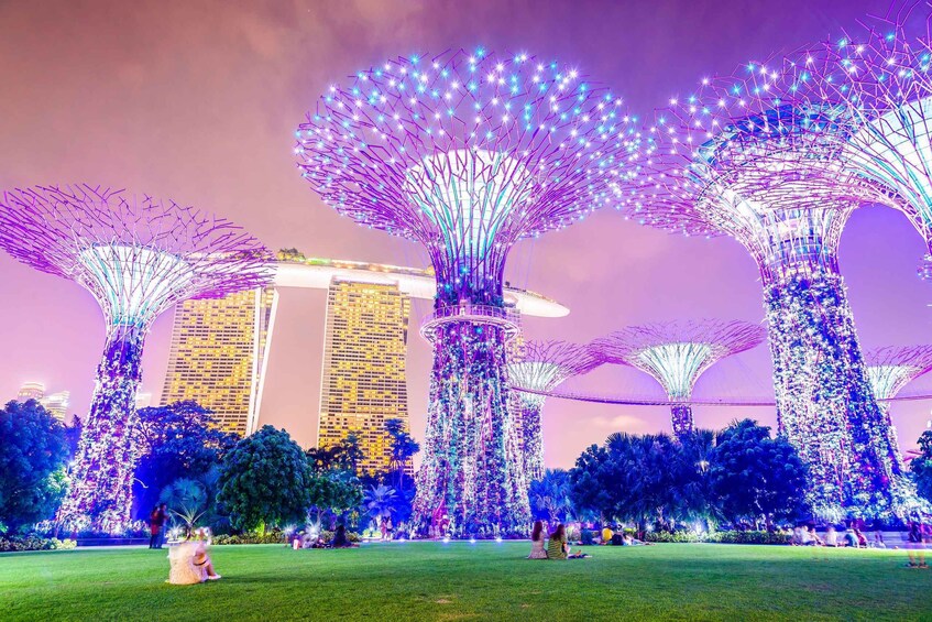 Singapore River Cruise, Garden Rhapsody & Spectra by CYT 1