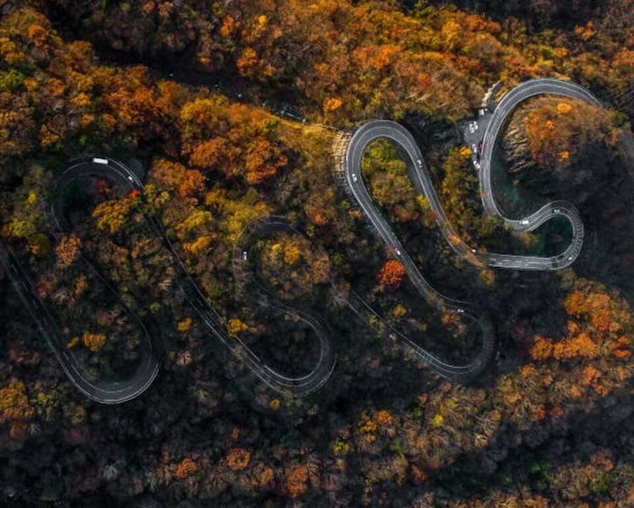 A winding road through a forest with autumn foliage. 5