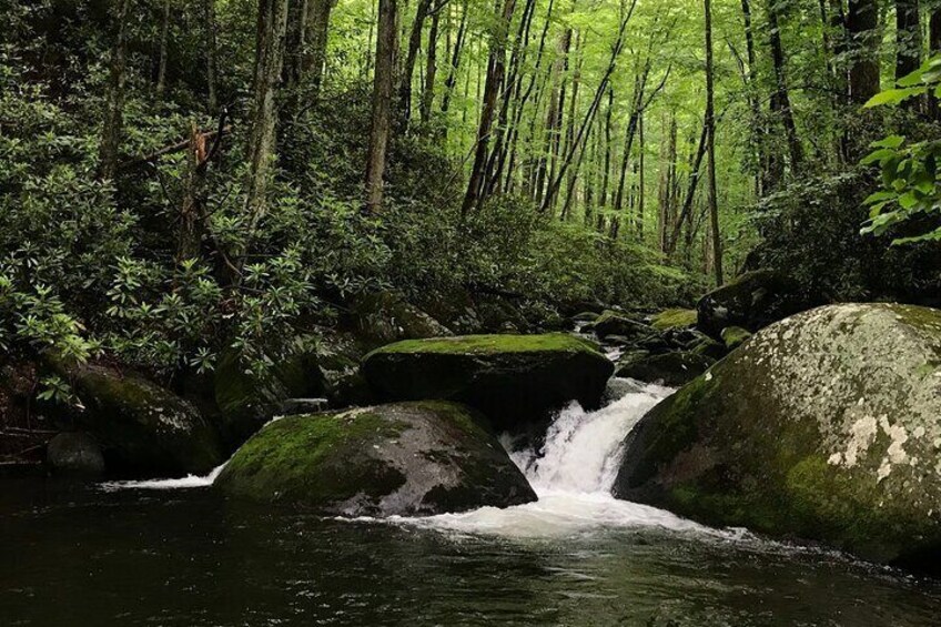 Appalachian Waterfalls Hike