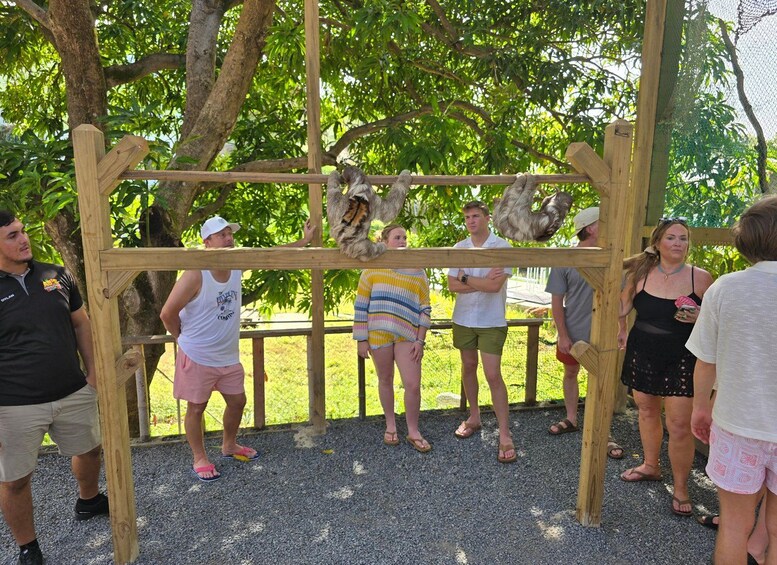 Roatan: Mix and Match Private Tour 1