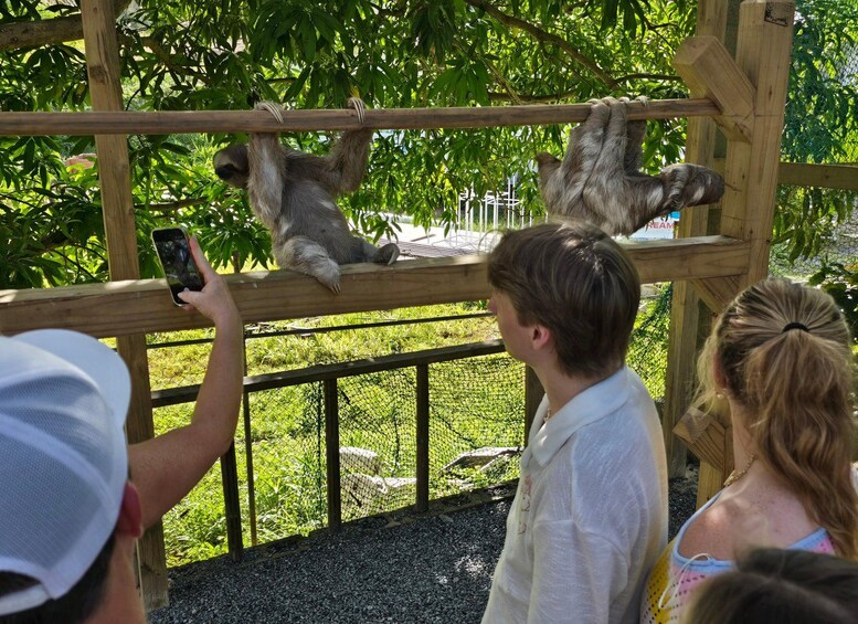 Picture 13 for Activity Roatan: Mix and Match Private Tour 3