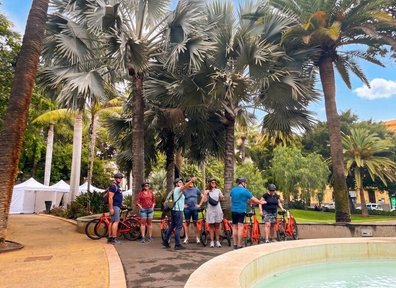A group of people with bicycles near a pool, surrounded by palm trees. 3