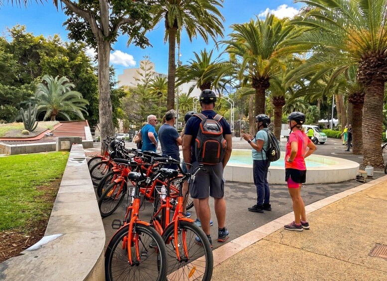 A group of people standing near a row of orange bicycles, with palm trees and a fountain in the background. 4