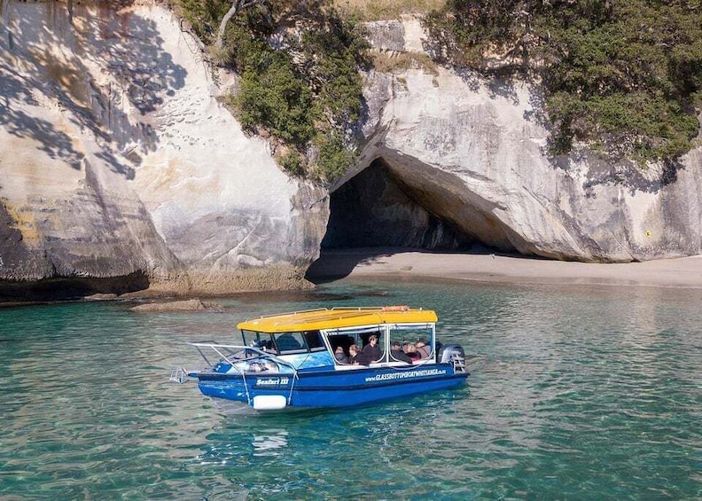 Picture 2 for Activity Whitianga: 2-Hour Glass Bottom Boat Cathedral Cove Tour 2