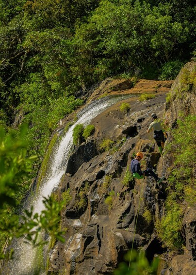 Picture 8 for Activity Mauritius: Tamarind Falls Canyoning Adventure 4