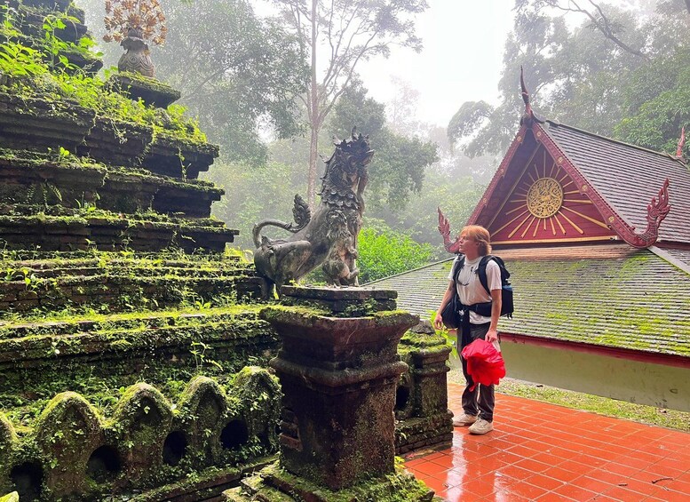 Picture 32 for Activity Chiang Mai - Doi Suthep Temple & Wat Pha Lat Hike 5
