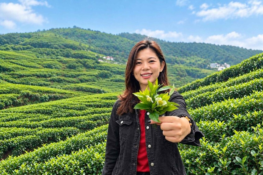 A person holding a plant in a tea plantation with terraced hills in the background. 2