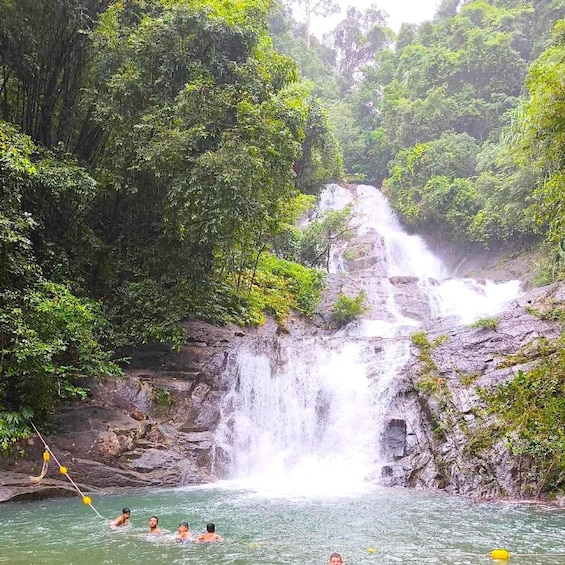 Picture 3 for Activity Khao Lak: Bamboo rafting,Lam Pi Waterfall, Sea turtle 2