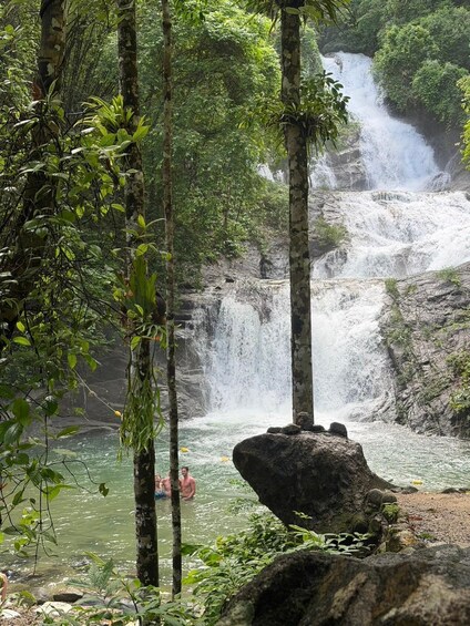 Picture 15 for Activity Khao Lak: Bamboo rafting,Lam Pi Waterfall, Sea turtle 4