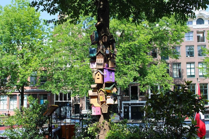A tree with colorful birdhouses. 3