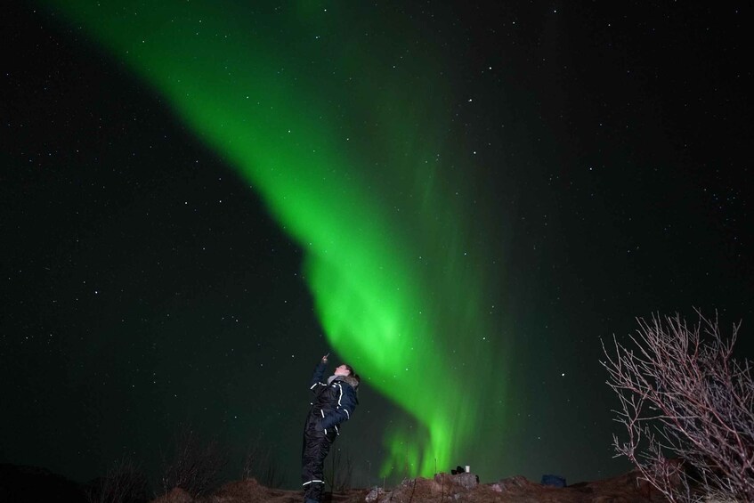 A person observing the Northern Lights. 1