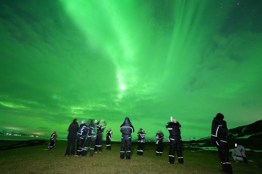 A group of people observing the Northern Lights in a grassy field. 5