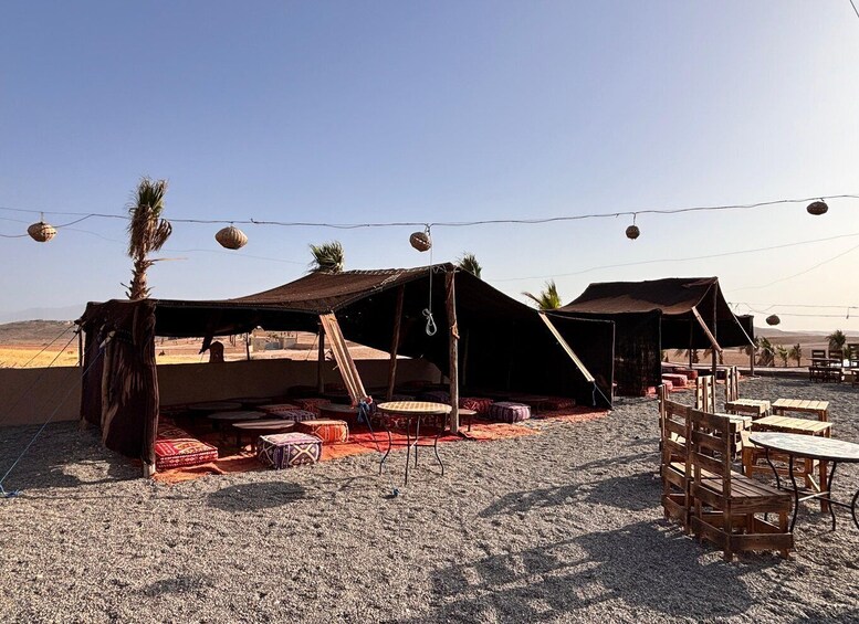 Picture 29 for Activity Marrakech: Agafay Quad, Camel, Lunch & Pool Access 3