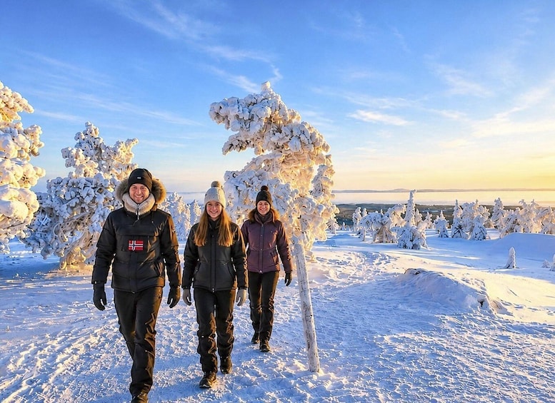 Rovaniemi: Riisitunturi National Park with Local Guide Timo 1