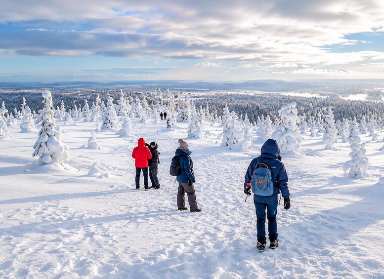A snowy landscape with people hiking and a forest in the background. 1