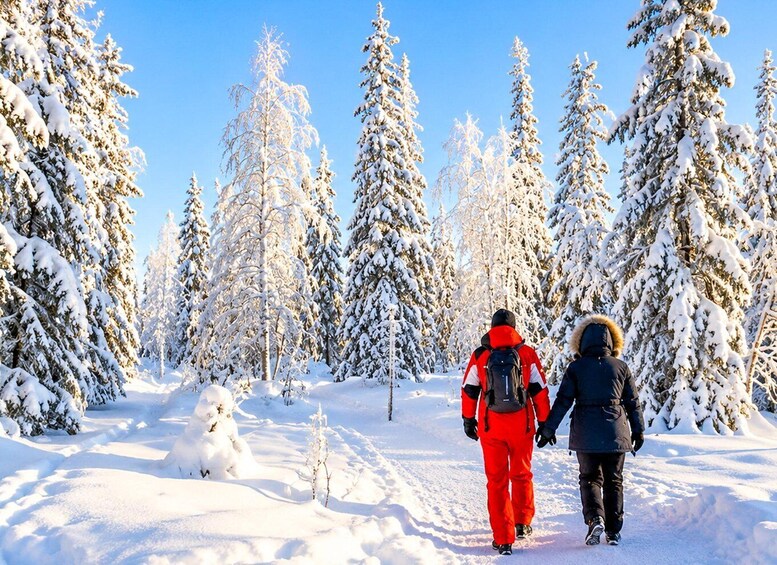 Picture 40 for Activity Rovaniemi: Riisitunturi National Park with Local Guide Timo 5