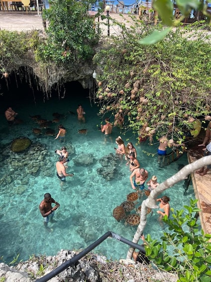 Zanzibar: Jozani Forest & Sea Tortoises Sanctuary Tour 1