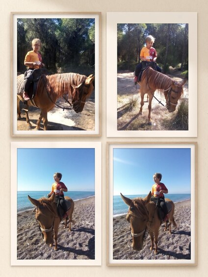 Picture 6 for Activity Antalya: Horse Riding on Sea and in the Forest 3