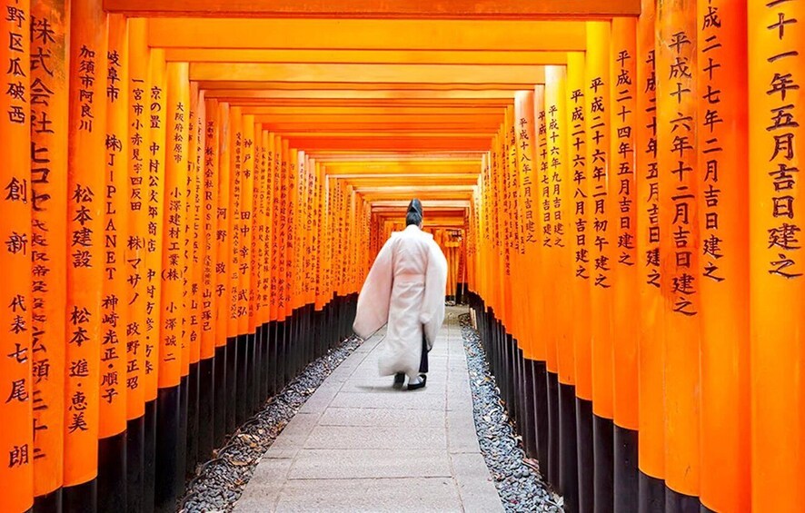 Kyoto/Osaka: Nara, Fushimi Inari Taisha, Arashiyama Bus Tour 1