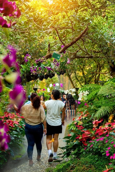 En sti gennem en have med gående mennesker, omgivet af frodigt grønt og farvestrålende blomster. 1