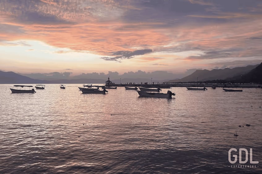 Picture 24 for Activity Guadalajara: Lake Chapala and Ajijic Day Trip with Boat Trip 5