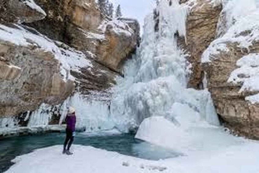 Picture 26 for Activity Banff: Lake Louise, Moraine, Emerald Lake & Johnston Canyon 2