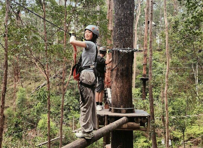 Picture 15 for Activity Tamborine Mountain: High Ropes and Ziplines Adrenaline Pass 4