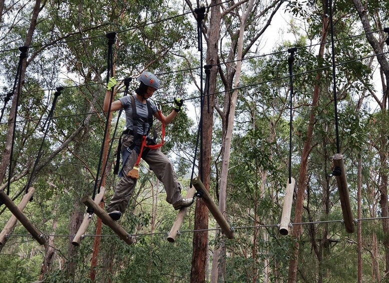 Picture 14 for Activity Tamborine Mountain: High Ropes and Ziplines Adrenaline Pass 5