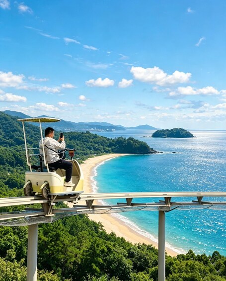 Picture 12 for Activity From Osaka or Kyoto: Amanohashidate&Ine Boat Houses Day Trip 2