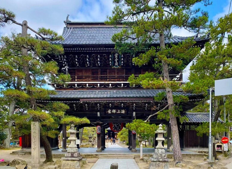 Picture 35 for Activity From Osaka or Kyoto: Amanohashidate&Ine Boat Houses Day Trip 3