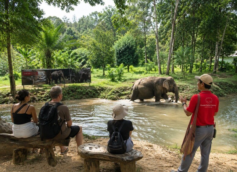 A group of people observing elephants in a natural setting with a water body and lush greenery. 1