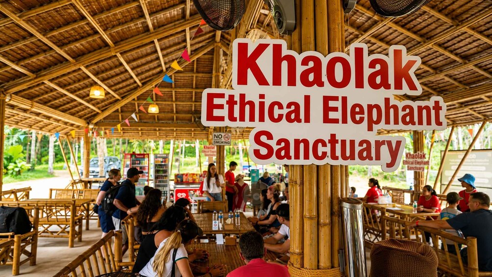 Picture 5 for Activity Khao Lak: Elephant Sanctuary Observation Tour 3