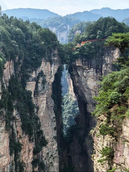 A canyon with steep cliffs and a narrow water channel. 4