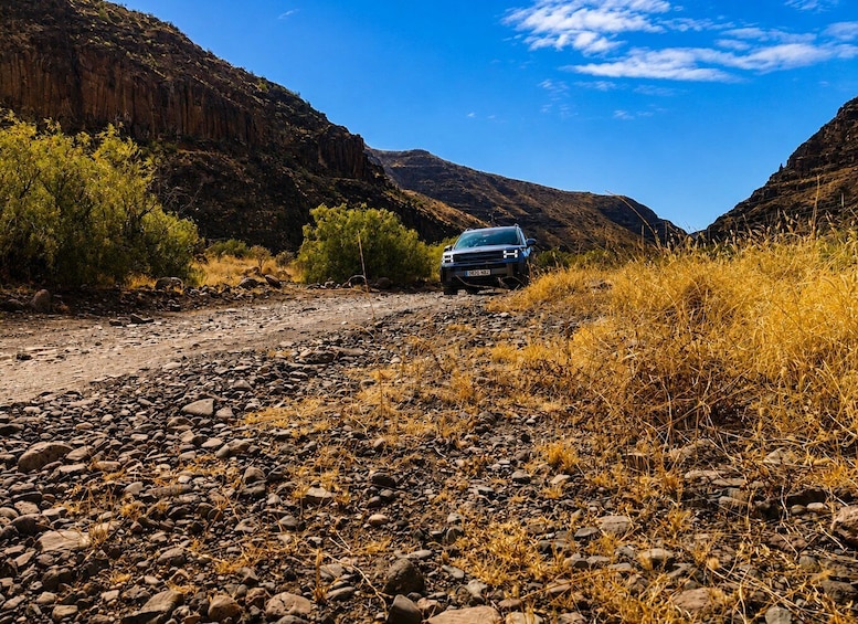 Picture 5 for Activity Gran Canaria: Premium Safari 4x4 Tour with Local Guide 5