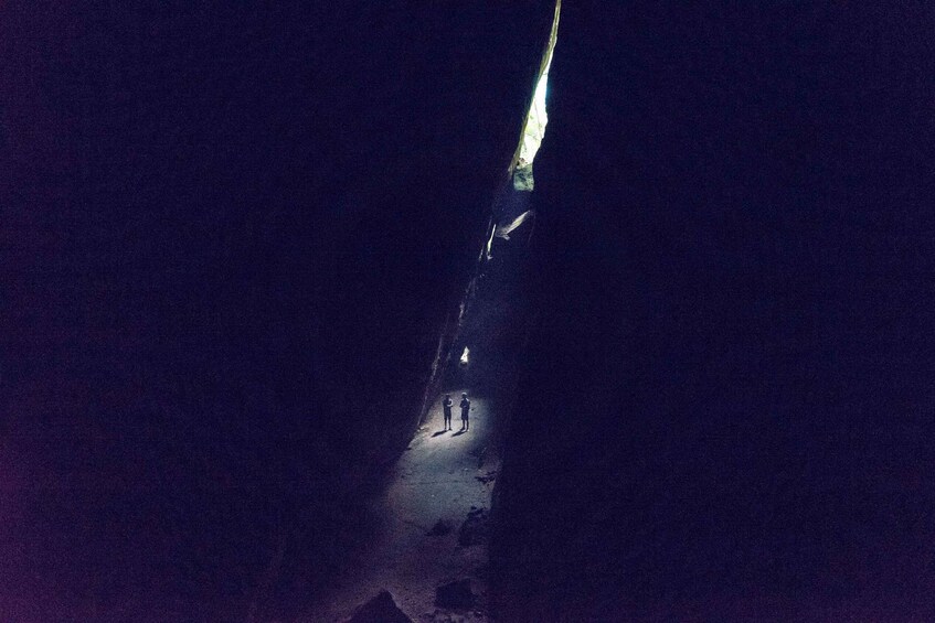 Picture 9 for Activity Rio Rainforest: Hike to Waterfalls, Wildlife & Caves 4