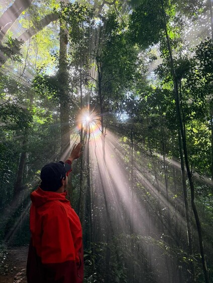 Picture 5 for Activity Rio Rainforest: Hike to Waterfalls, Wildlife & Caves 4