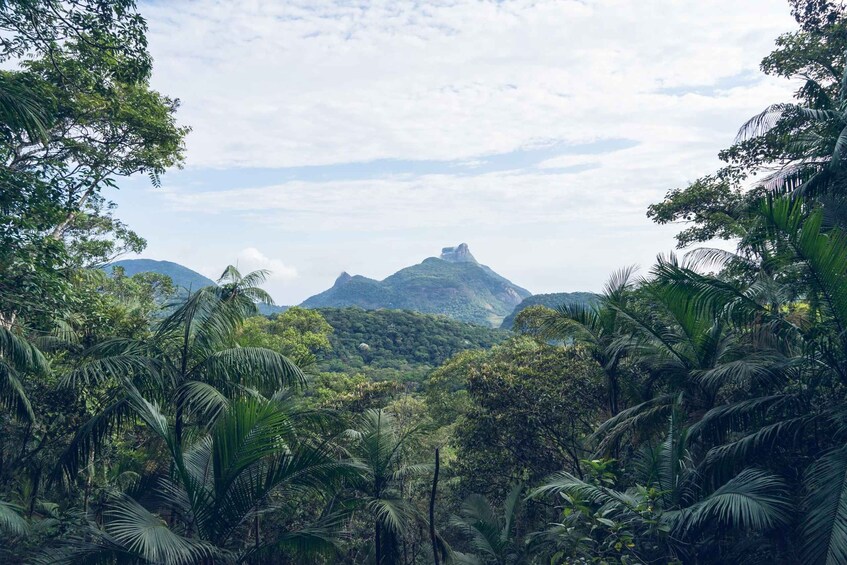 Picture 6 for Activity Rio Rainforest: Hike to Waterfalls, Wildlife & Caves 5