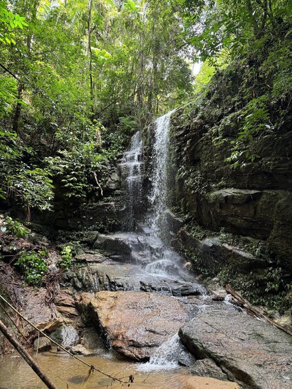Picture 19 for Activity Rio Rainforest: Hike to Waterfalls, Wildlife & Caves 2