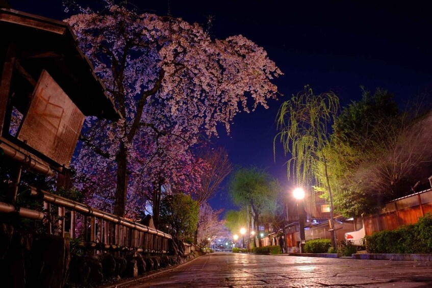 Picture 11 for Activity Kyoto: Gion Night Tour Iconic Geisha District & Hidden Gems 3
