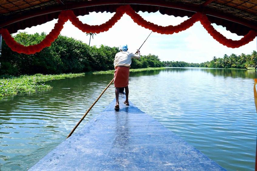 Picture 40 for Activity Kerala: Backwater Village Punting Boat Cruise with Lunch 3
