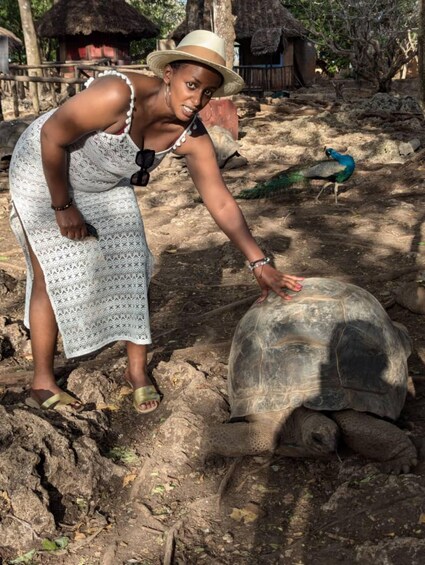 A person interacting with a tortoise in a natural setting with trees and a peacock in the background. 4