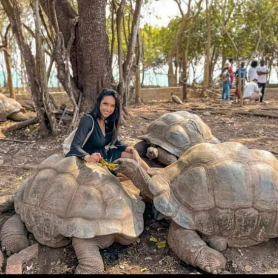 A person sitting between two large tortoises in a natural setting with trees and a body of water in the background. 3