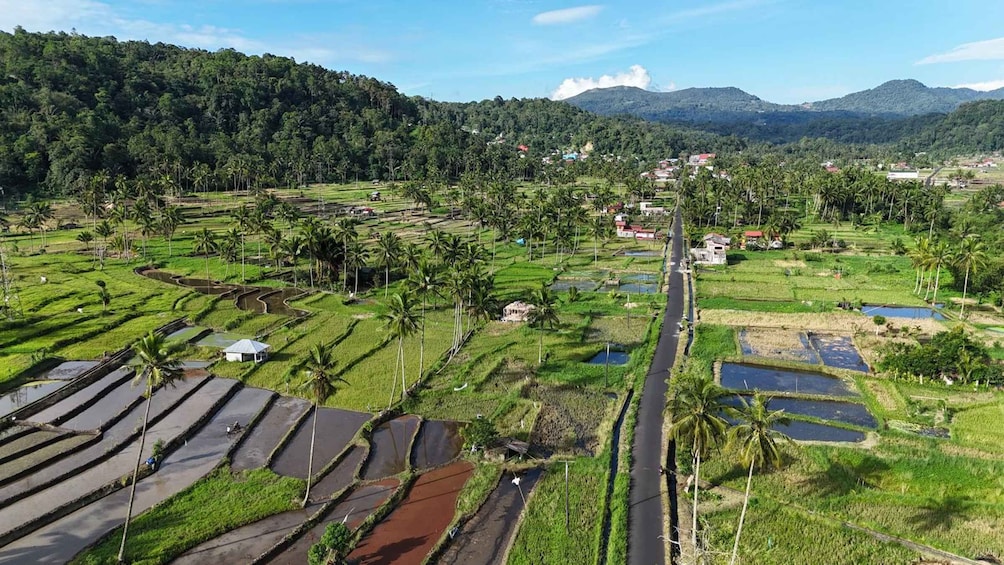 Terraced rice fields, a road, and a mountain range. 1
