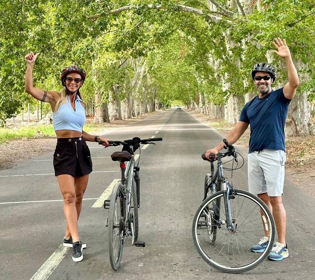 Mendoza: Wine and Bike Tour of Wineries at the Foot of the Andes 1