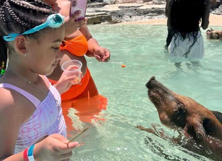 Picture 1 for Activity Nassau: Swimming Pigs of Rose Island Water Taxi 4