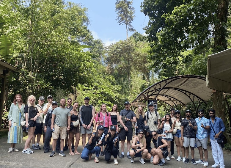 A group of people posing in a shaded area surrounded by lush greenery. 3