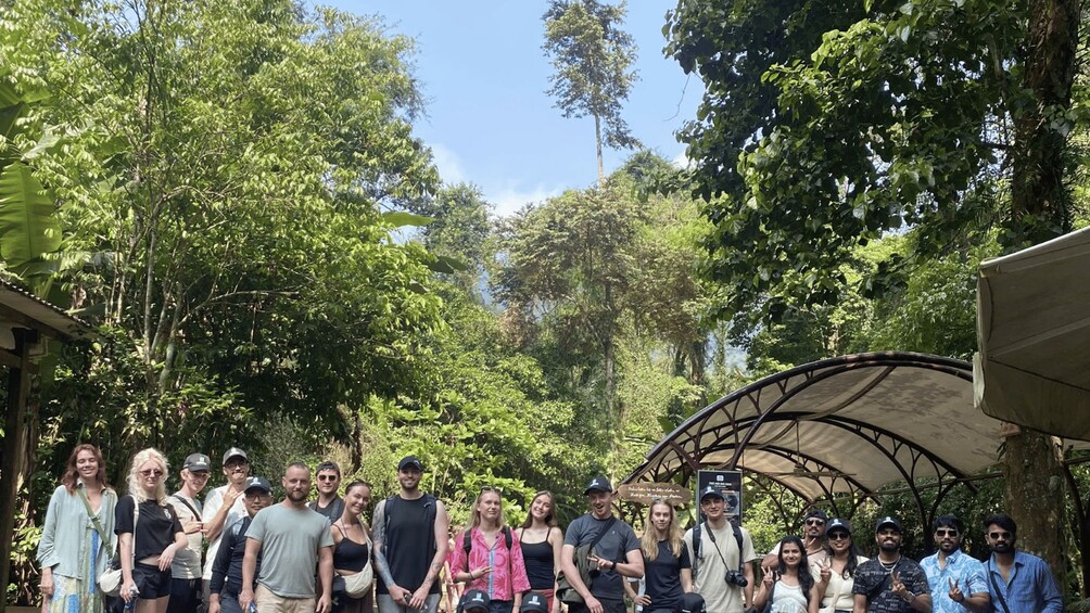 A group of people standing in a forested area with a covered structure. 2