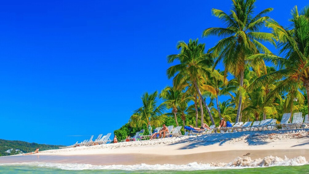 A beach with palm trees, sun loungers, and people relaxing. 5