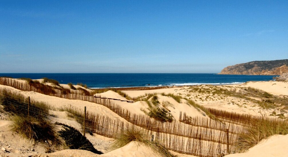 A coastal landscape with sand dunes, sparse vegetation, and a clear blue sky. 2
